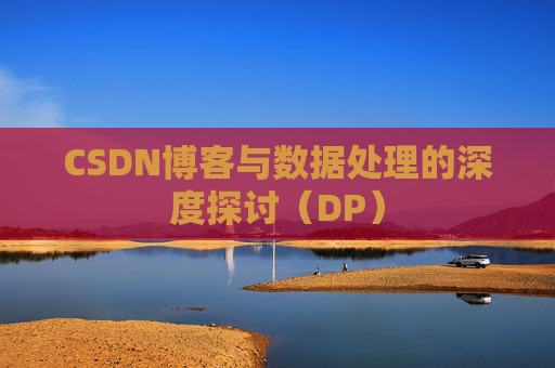 CSDN博客与数据处理的深度探讨（DP）